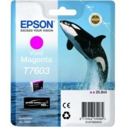 Cartouche Encre Magenta pour EPSON SureColor SC-P600 (T7603) (Orque)