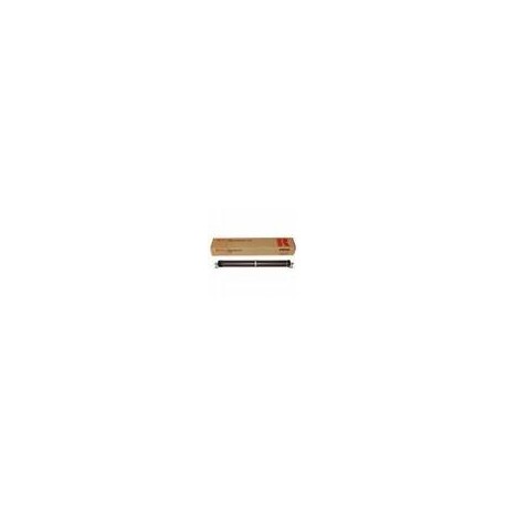 Tambour Ricoh 894718