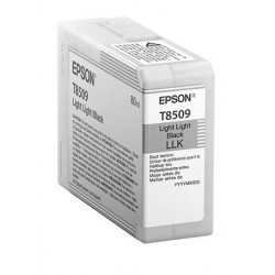 Cartouche d'encre Light Light Noire pour Epson SC-P800 (T8509)
