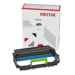 Module photorécepteur (tambour) Xerox pour B310