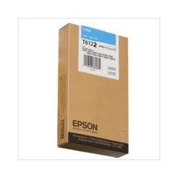 Encre pigment cyan Epson pour stylus photo 7400/7900 (C13T567200)